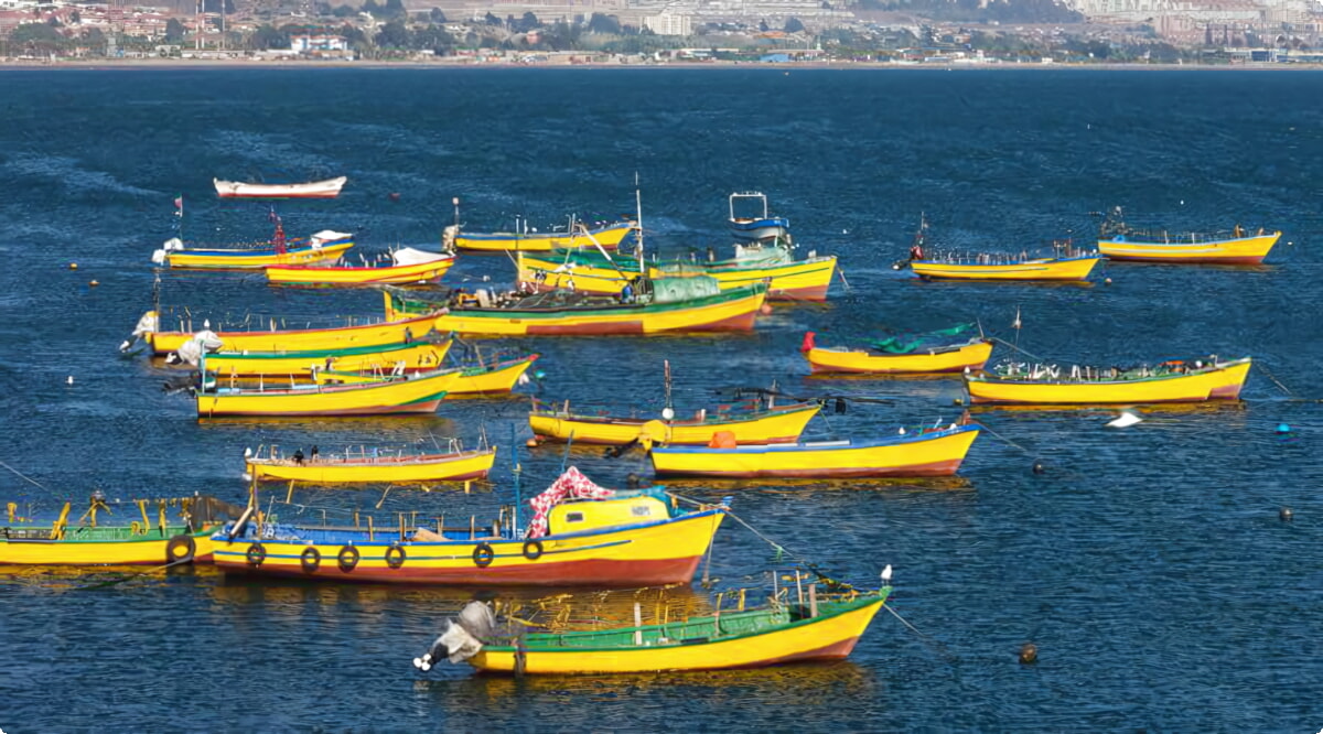 Nuestros servicios de alquiler de coches ofrecen una diversa selección de vehículos en Coquimbo.